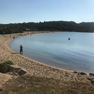 Sarde Palau